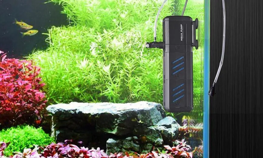 Setting Up A Fish Tank Filter | How To Install?
