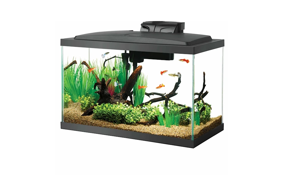 Aqueon Standard Glass Ten Gallon Fish Tank