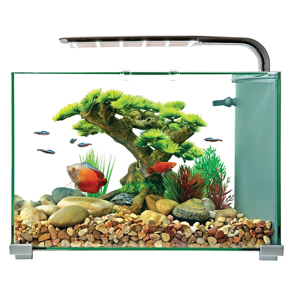 Betta Fish Tank Glass 5-Gallons