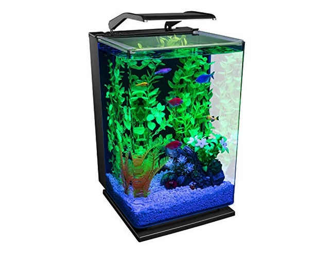 GloFish Aquarium Kit, 5-gallon Tank